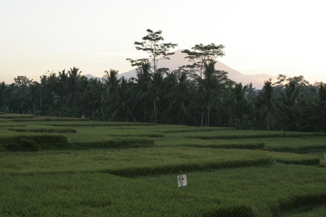 Viceroy Bali Hotel Ubud Exterior foto